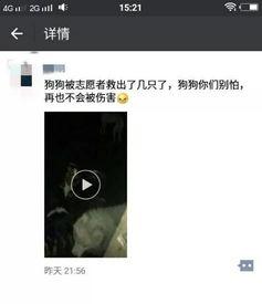 徐州最新爆料视频曝光,一窥城市变迁与民生发展 第2张 徐州最新爆料视频曝光,一窥城市变迁与民生发展 第2张